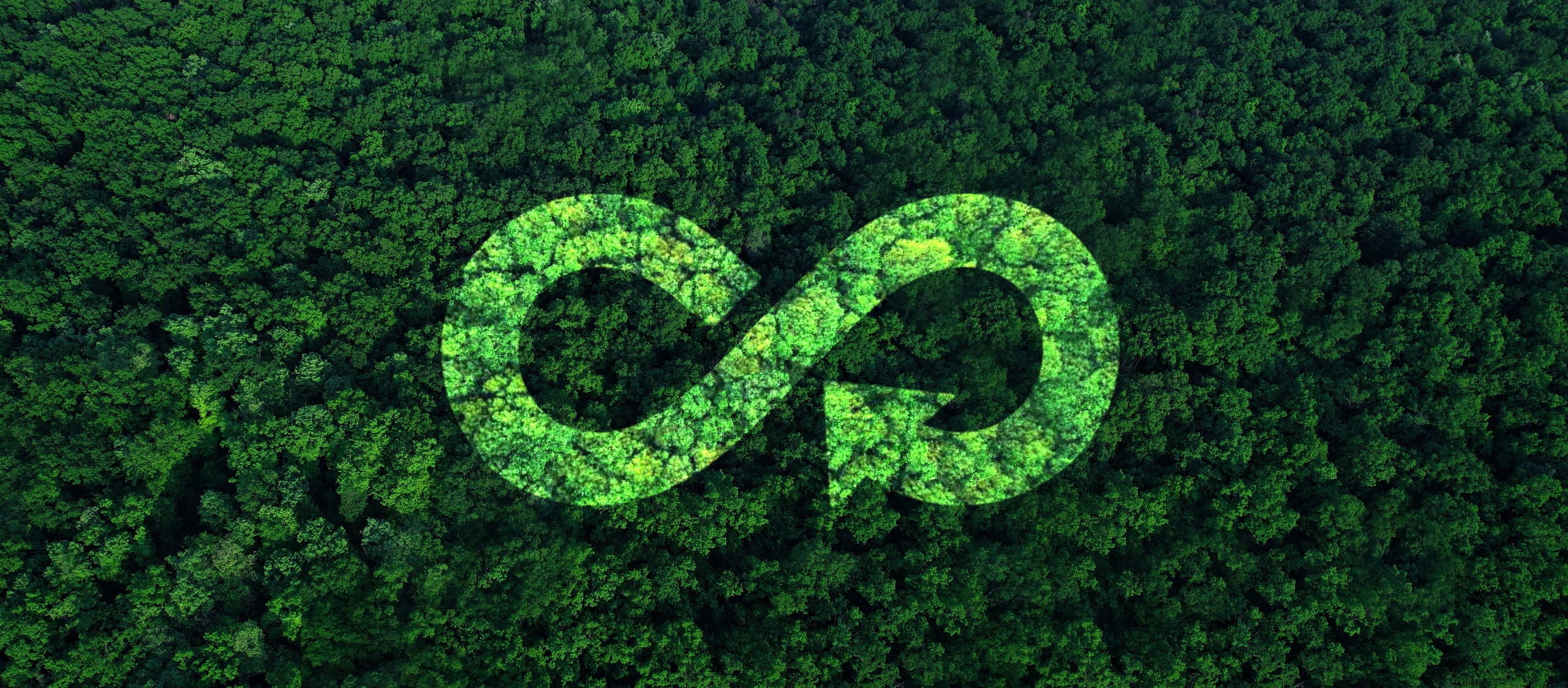 EcoPlatform_art1.jpg