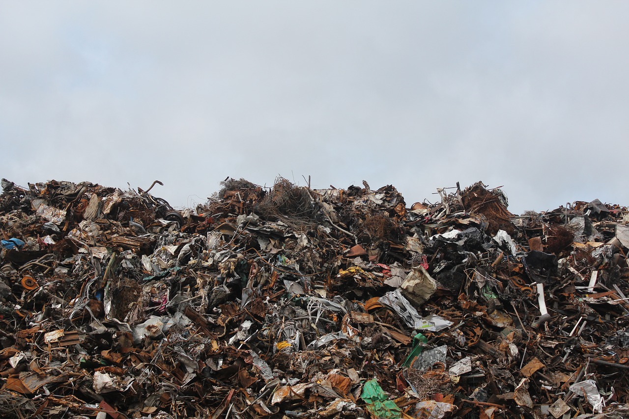 EcoPlatform_art101.jpg