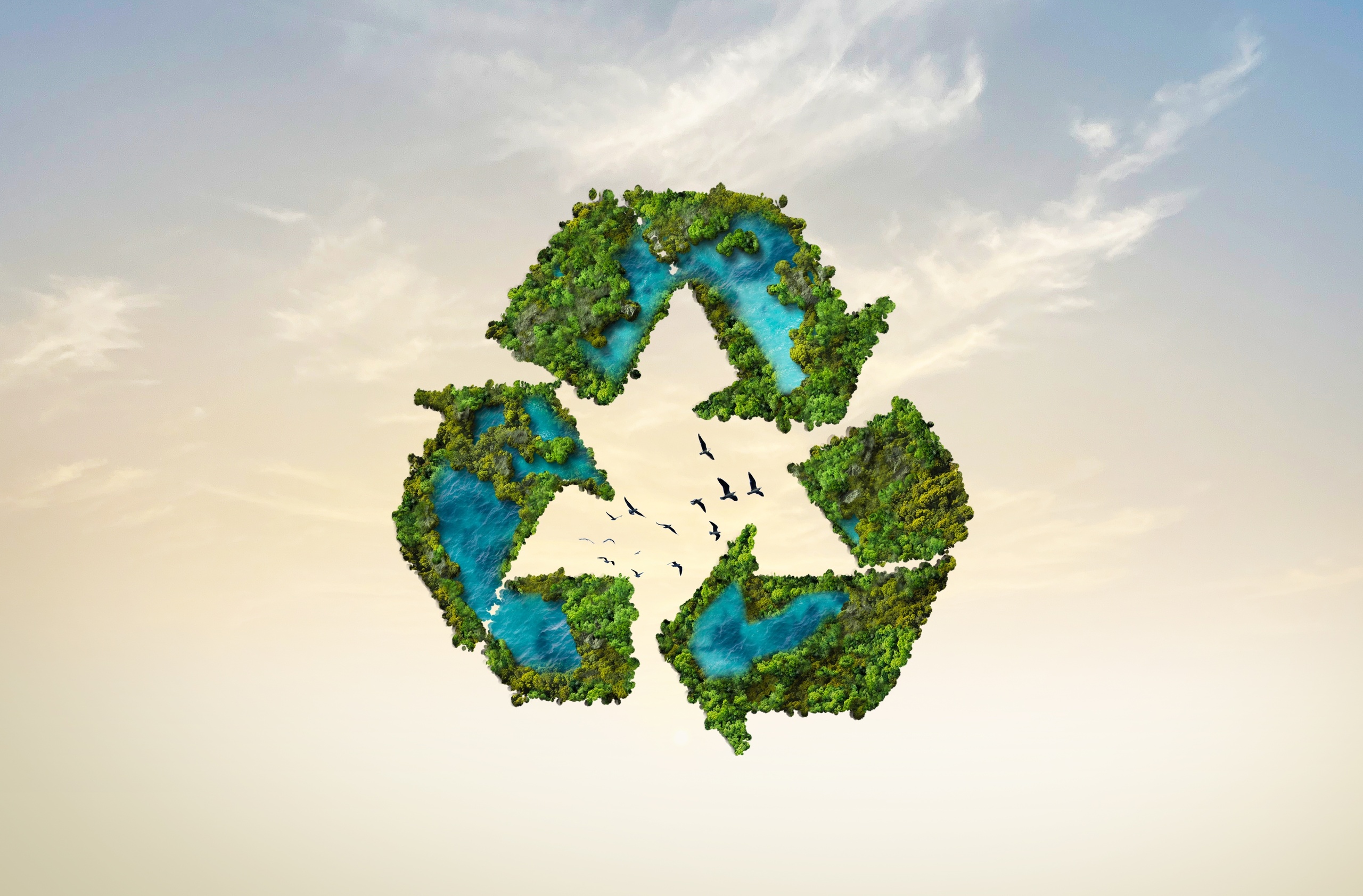 EcoPlatform_art12.jpg