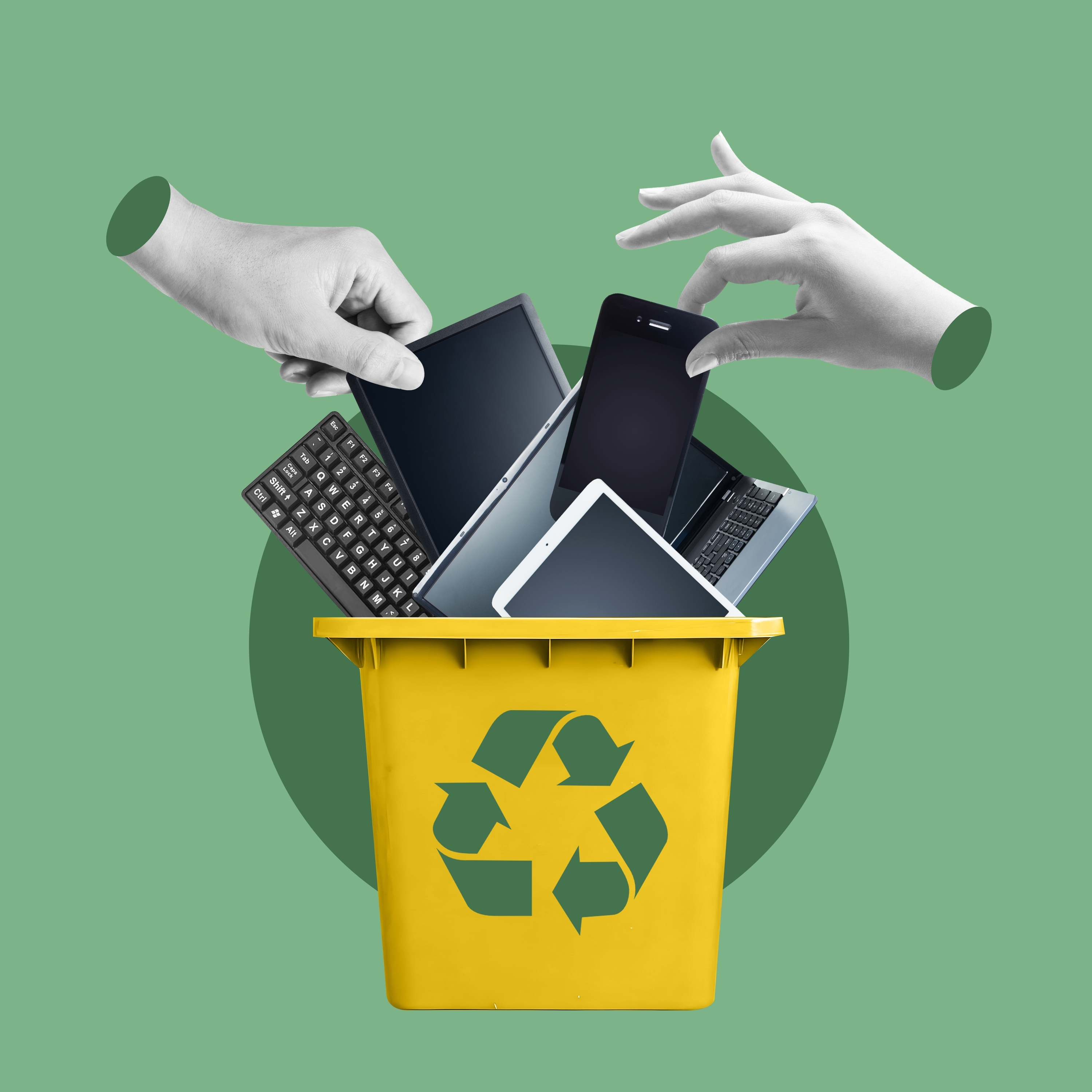 EcoPlatform_art13.jpg