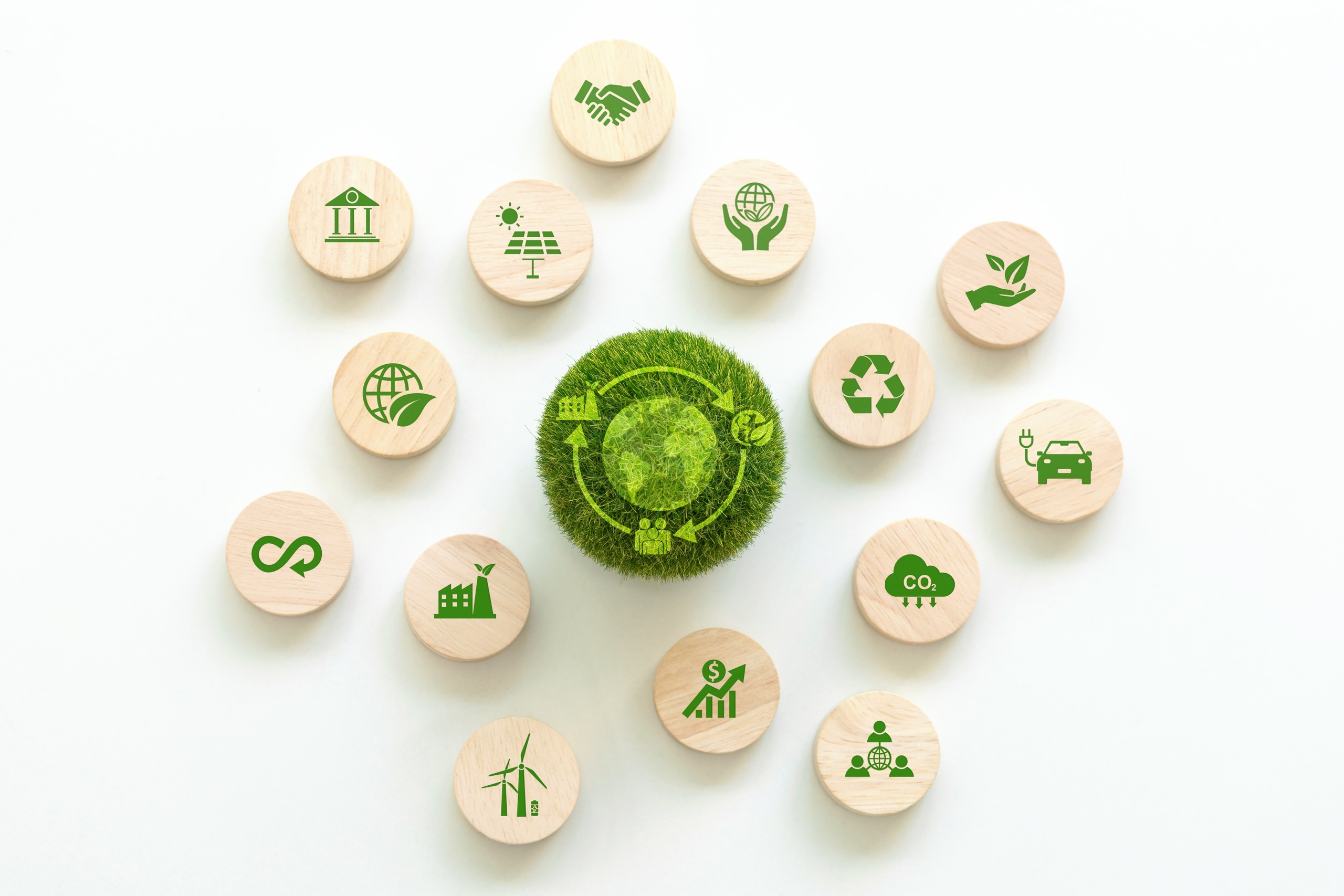 EcoPlatform_art149.jpg