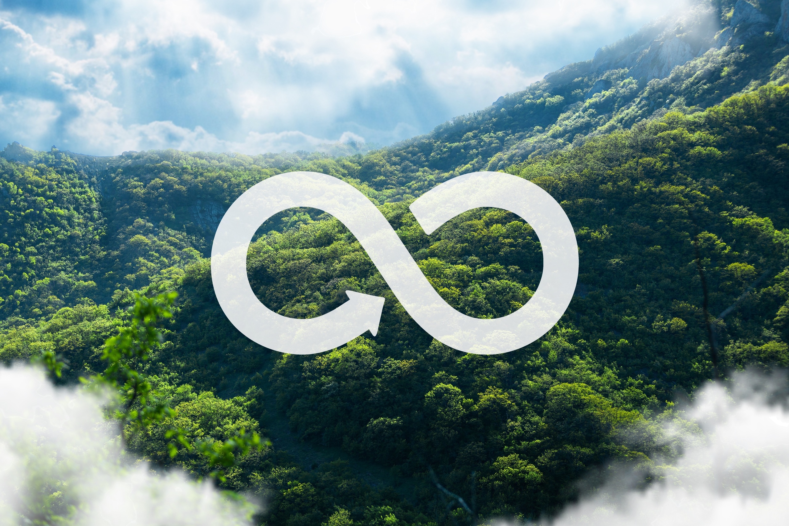 EcoPlatform_art163.jpg