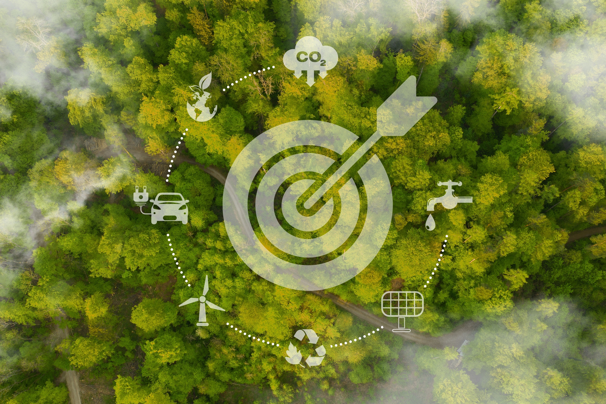 EcoPlatform_art17.jpg