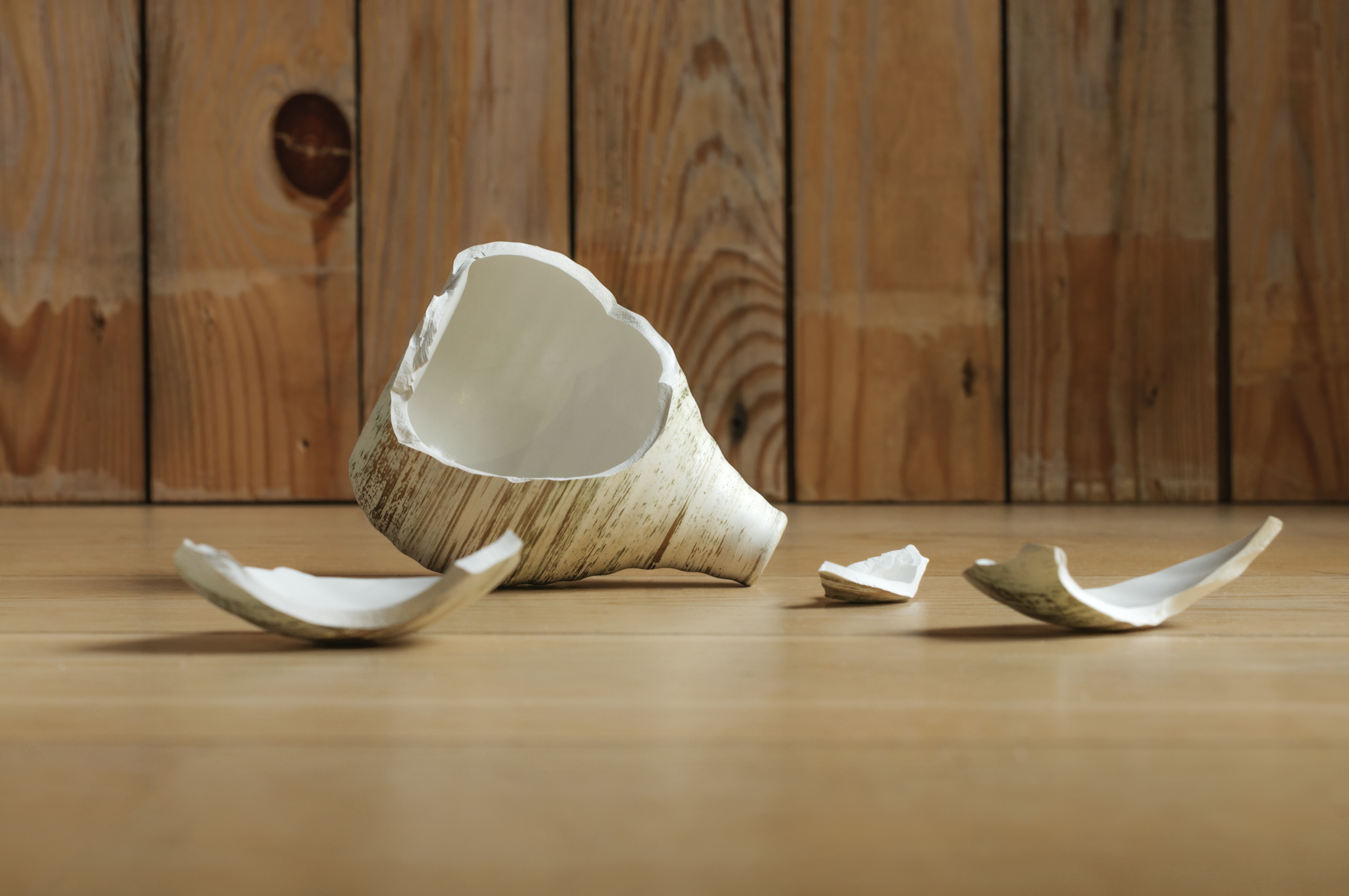 EcoPlatform_art185.jpg