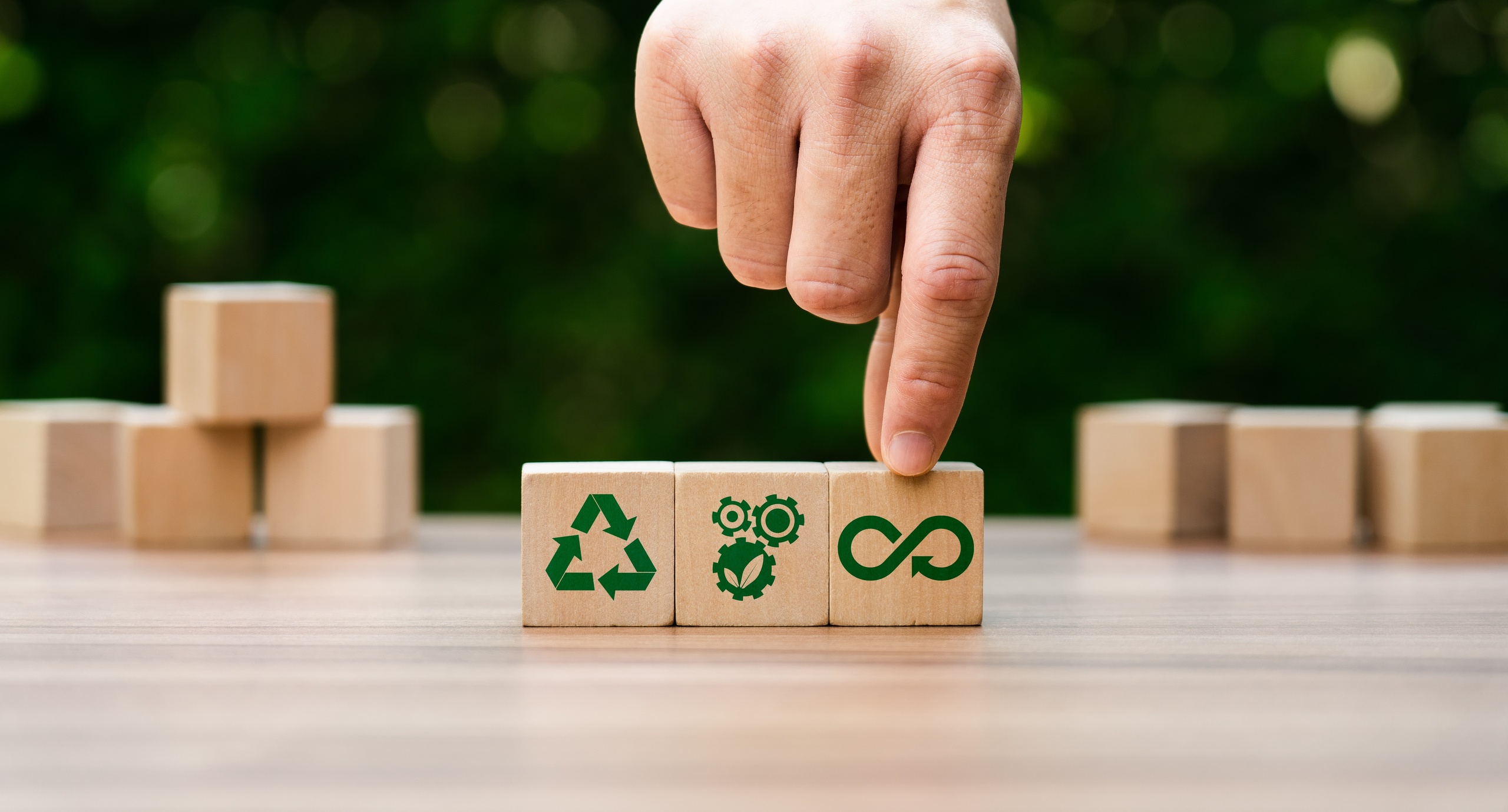 EcoPlatform_art4.jpg