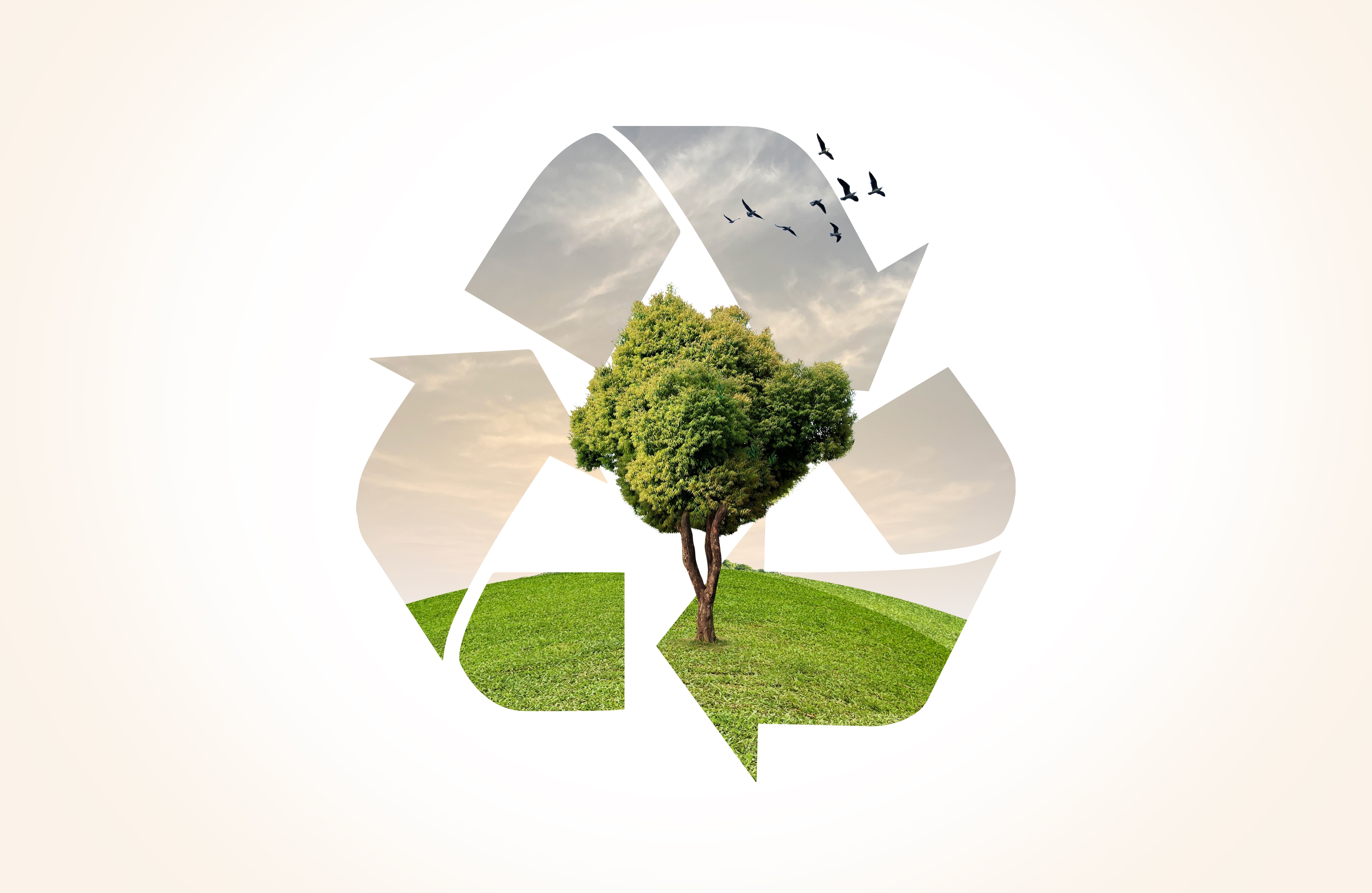 EcoPlatform_art59.jpg