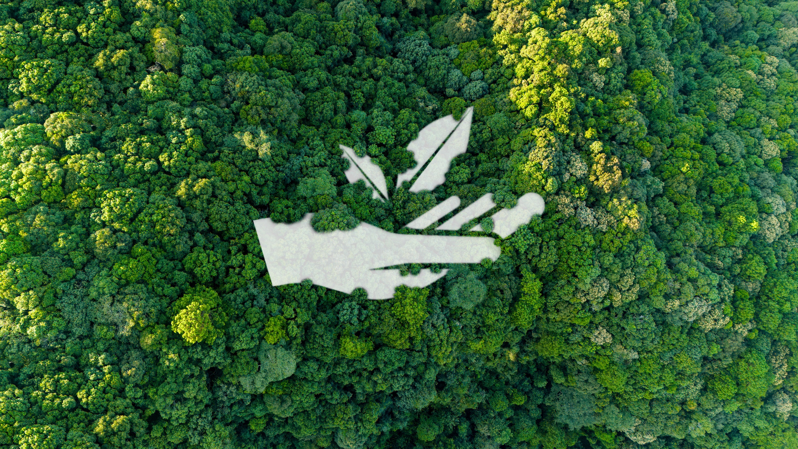EcoPlatform_art7.jpg