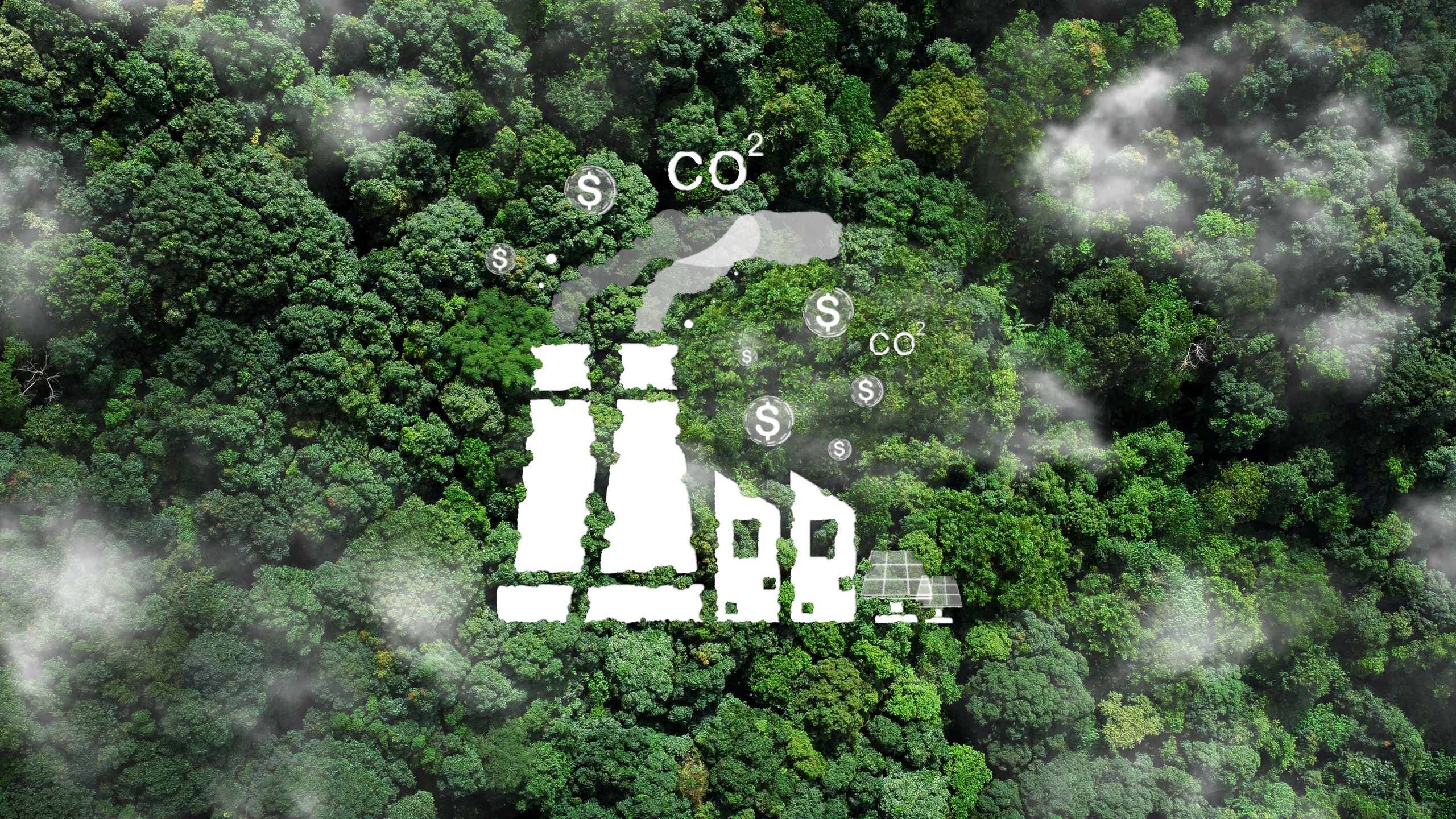 EcoPlatform_art74.jpg