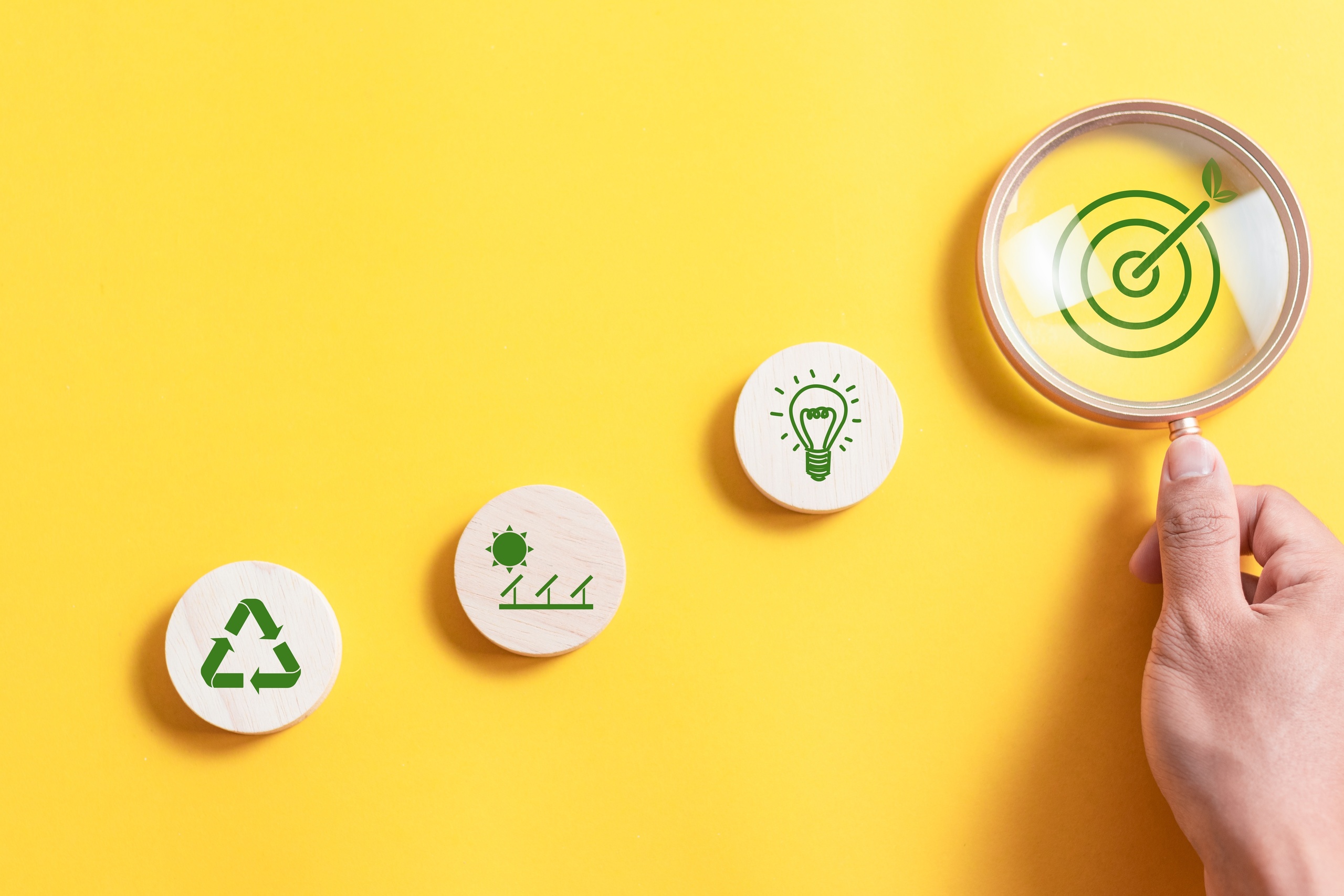 EcoPlatform_art77.jpg