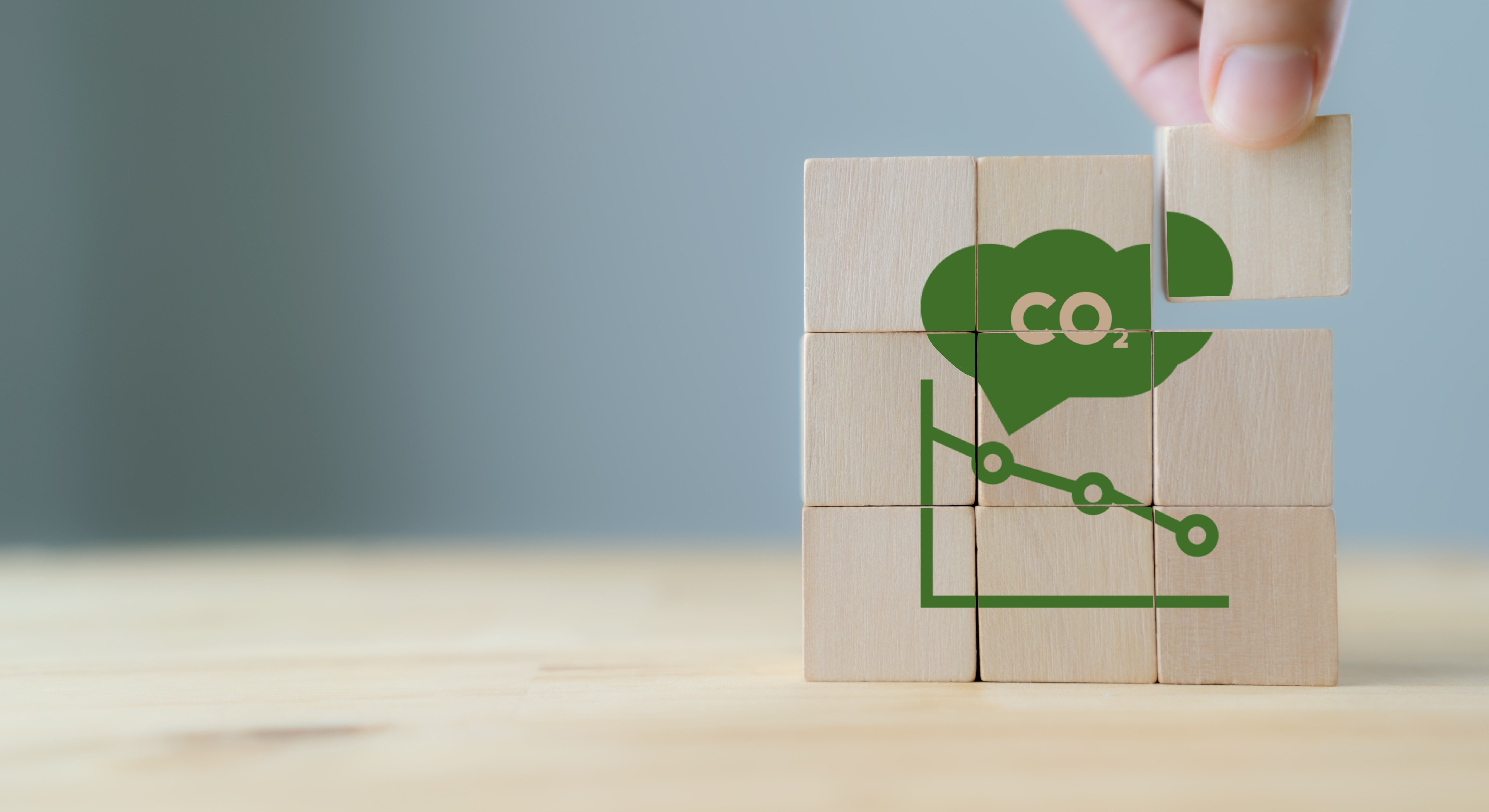 EcoPlatform_art80.jpg