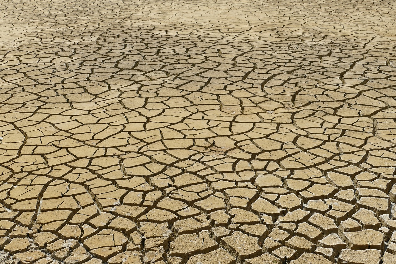 EcoPlatform_art93.jpg